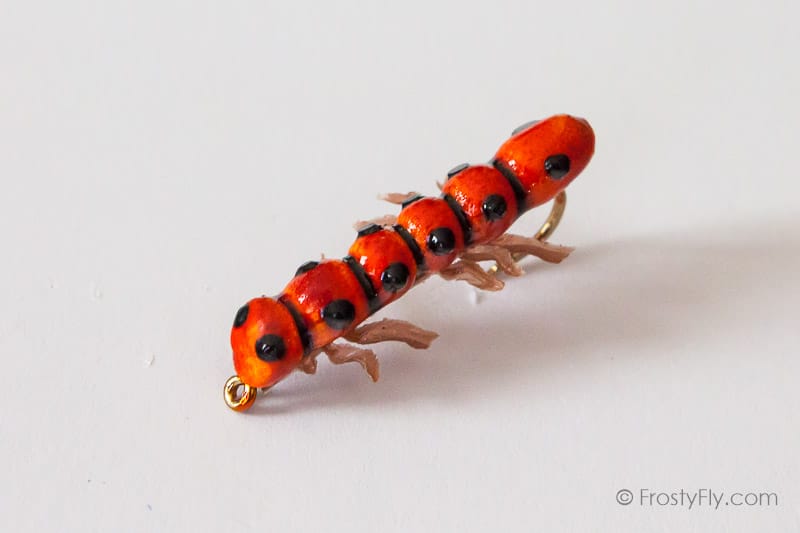 Realistic Caterpillar Fly - Orange
