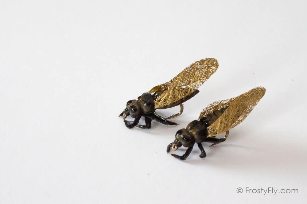 Realistic Cicada Flies - Gold