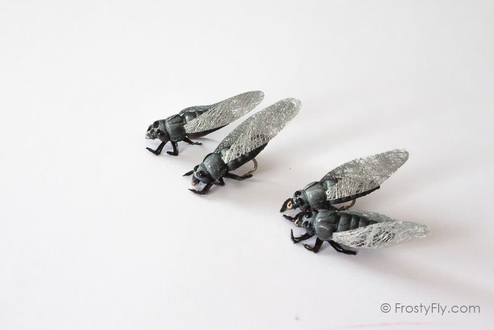 Realistic Cicada Flies - Green