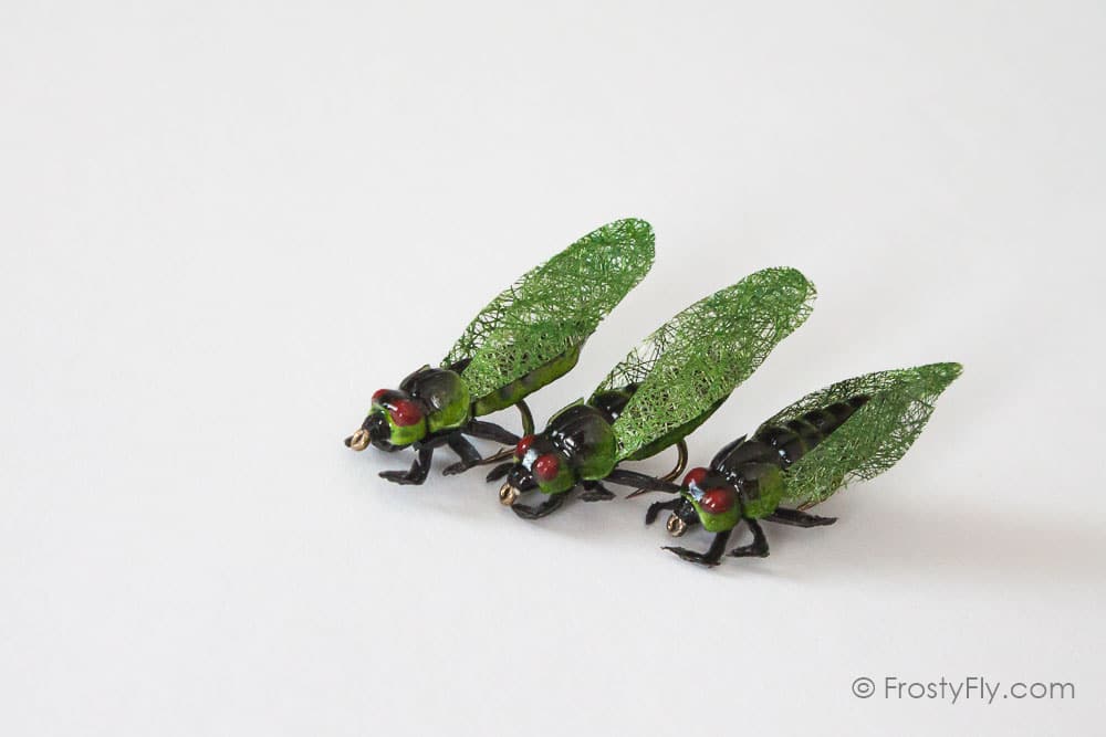 Realistic Cicada Flies - Brown