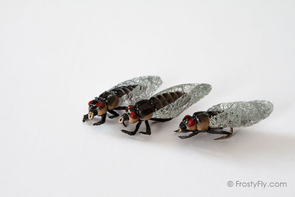 Realistic Cicada Flies - Brown