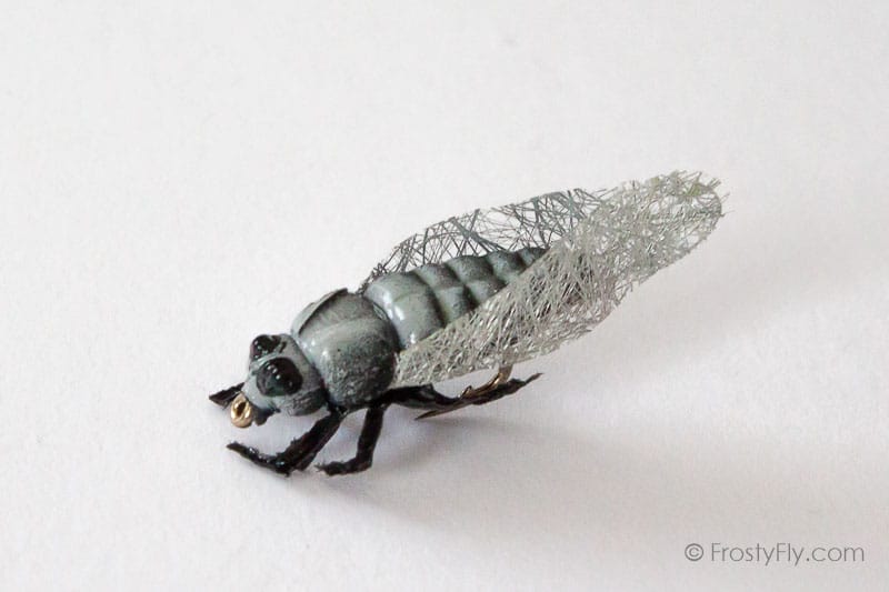 Realistic Cicada Fly