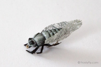 Realistic Cicada Fly