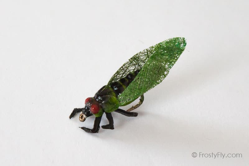 Realistic Cicada Fly