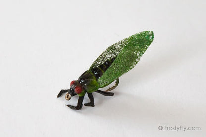Realistic Cicada Fly