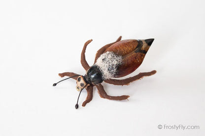 Realistic Cockchafer Beetle Fly