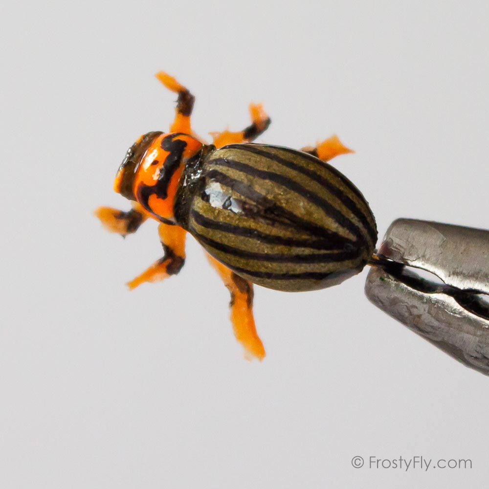 Realistic Colorado Potato Beetle Fly