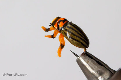 Realistic Colorado Potato Beetle Fly