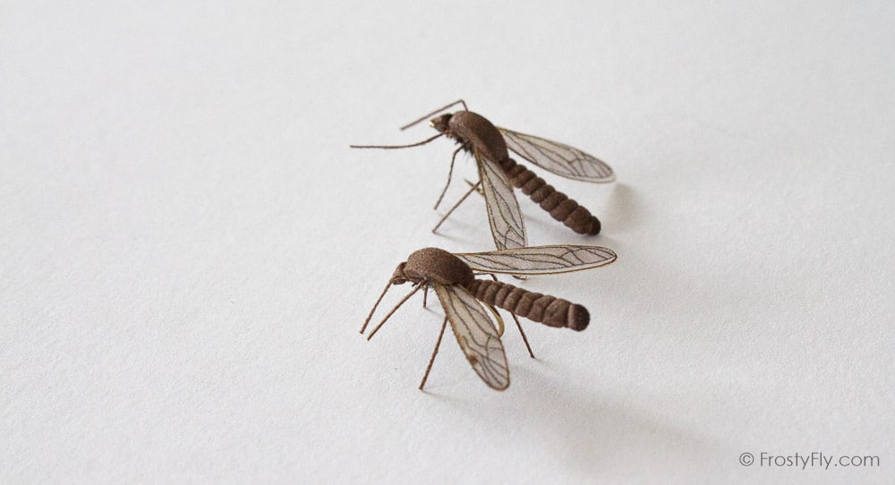 Realistic Crane Flies