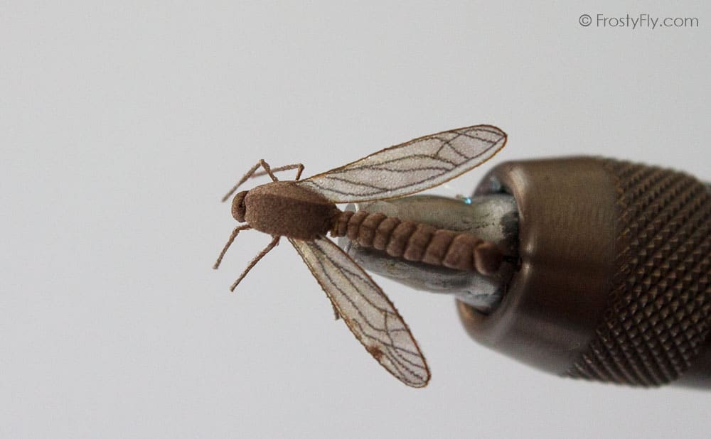 Realistic Crane Fly