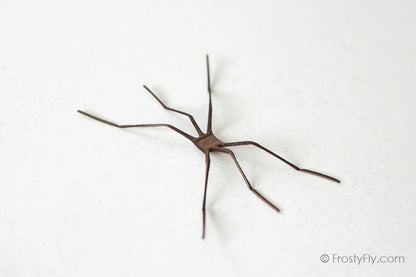 Realistic Crane Fly Legs 3D