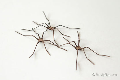 Realistic Crane Fly Legs 3D - Dark Brown