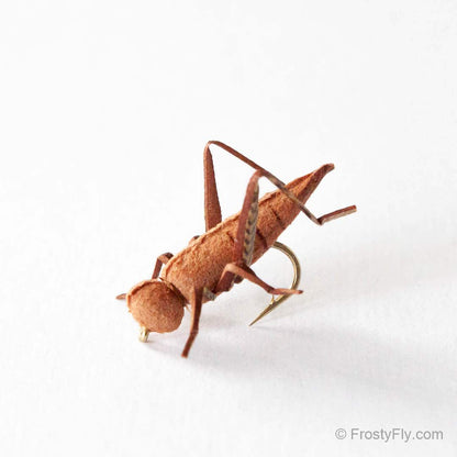 Realistic Cricket Fly - Brown