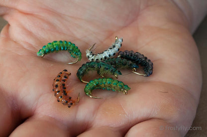 Realistic Curved Sawfly Larva Flies