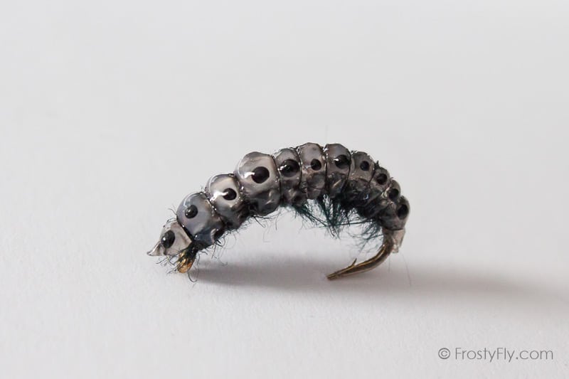 Realistic Curved Sawfly Larva Fly