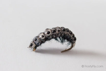 Realistic Curved Sawfly Larva Fly