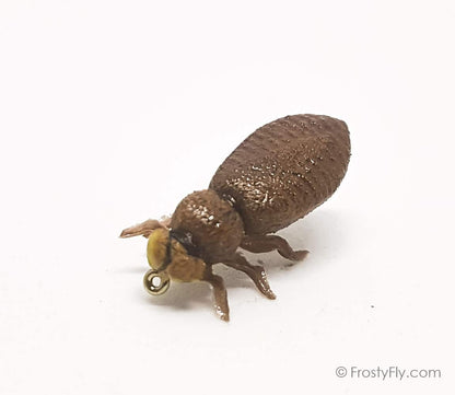 Realistic Dragonfly Larvae