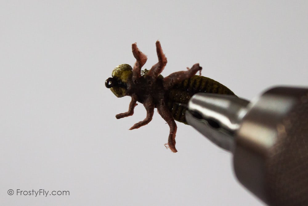 Realistic Dragonfly Larvae