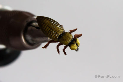 Realistic Dragonfly Larvae