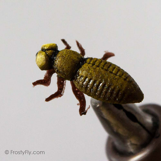 Realistic Dragonfly Larvae