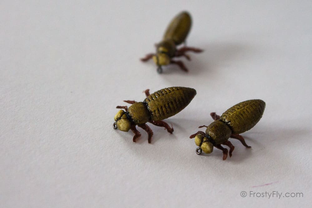 Realistic Dragonfly Larvae