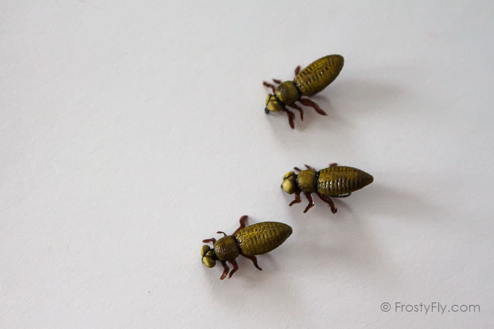 Realistic Dragonfly Larvae