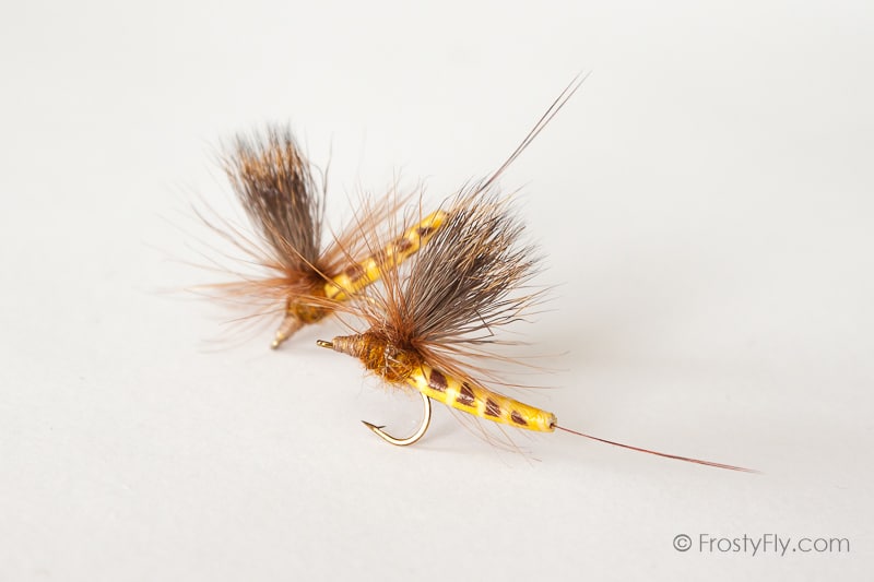 Realistic Elk Wing Parachute Mayfly - Ephemera Danica