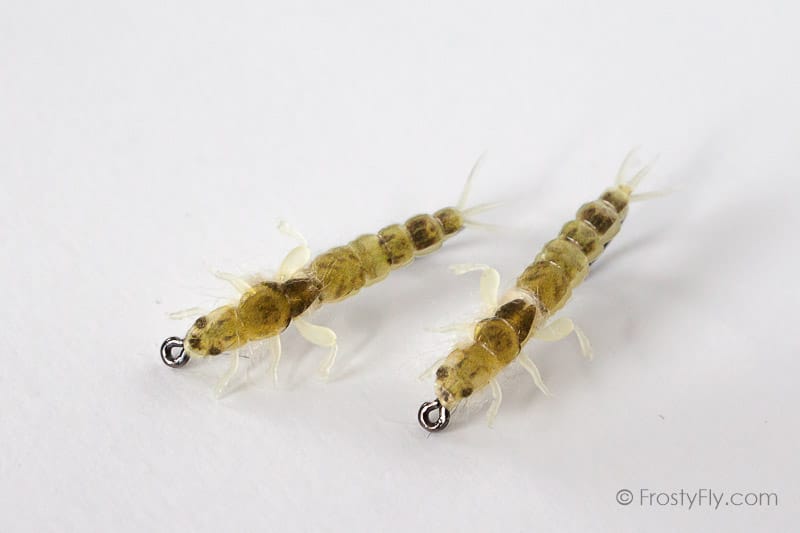 Realistic Ephemera Danica Nymphs