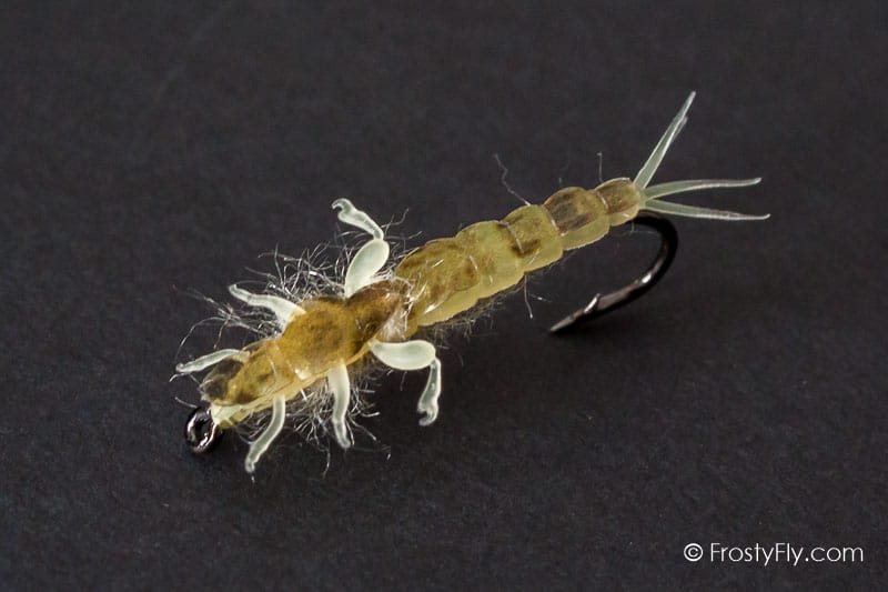 Realistic Ephemera Danica Nymph