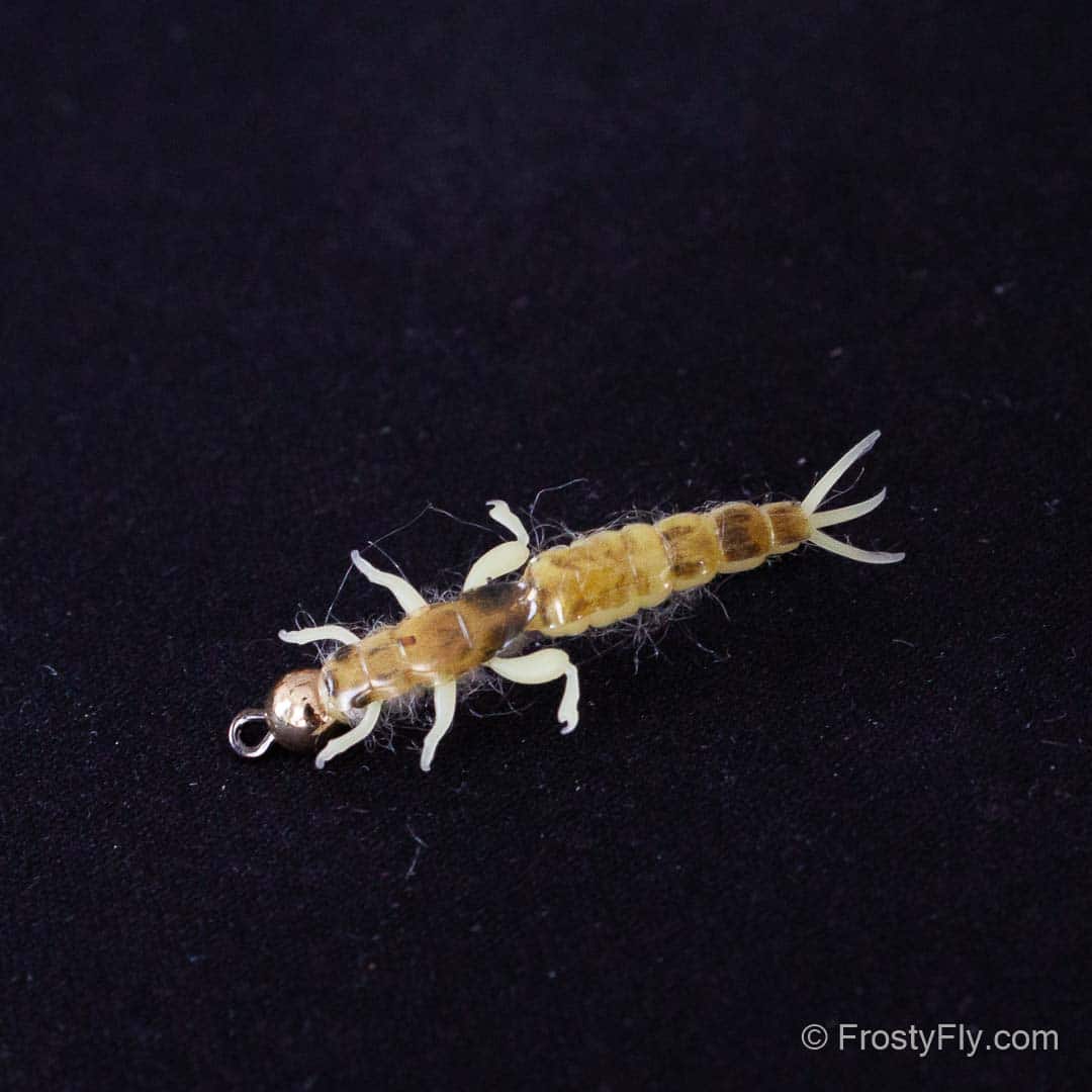 Realistic Ephemera Danica Nymph with Tungsten Bead