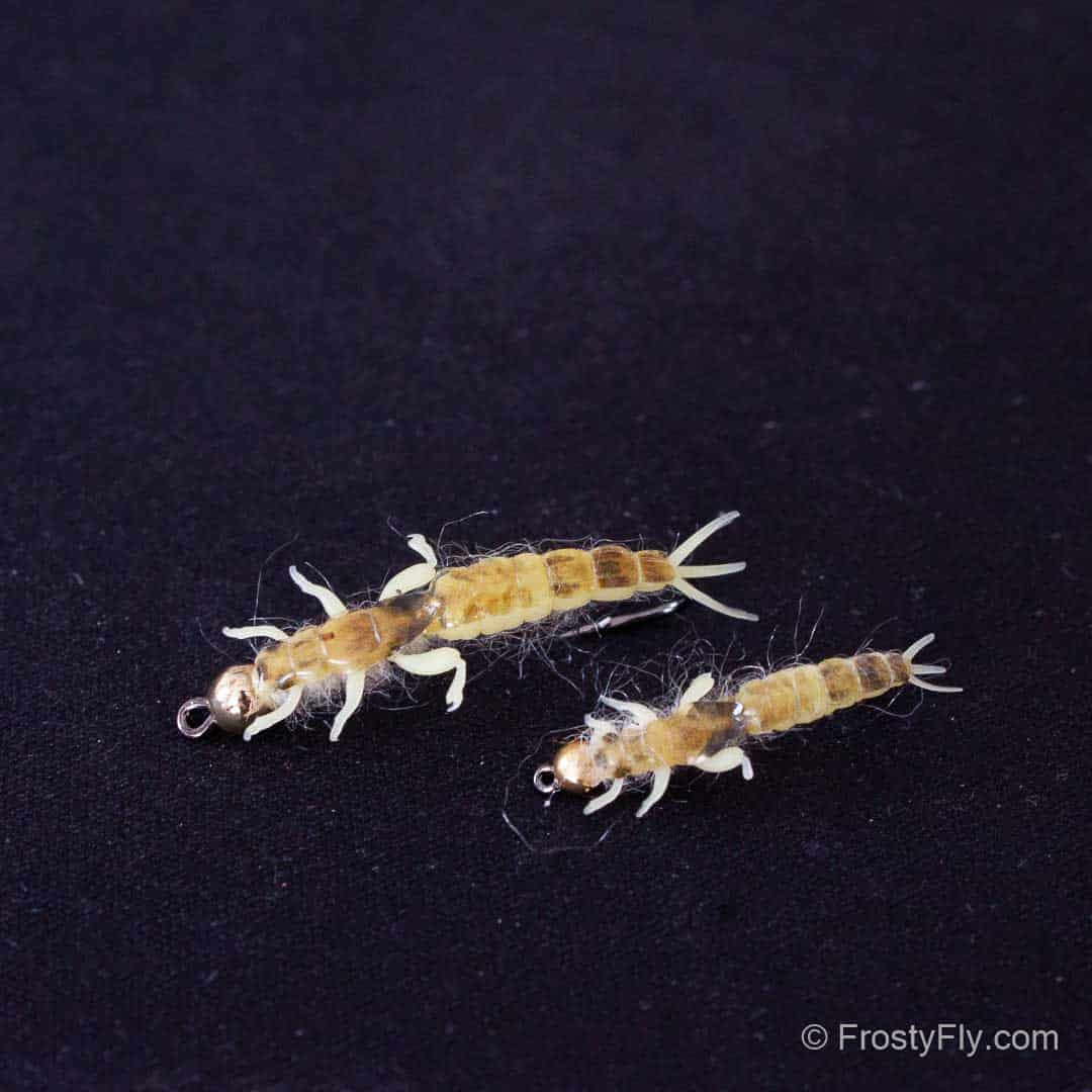 Realistic Ephemera Danica Nymphs with Tungsten Bead