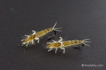 Realistic Ephemera Danica Nymphs