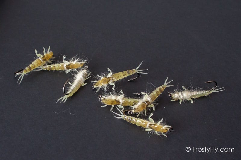 Realistic Ephemera Danica Nymphs