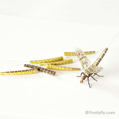 Realistic Fly Tying Bodies - Realistic Extended Mayfly Bodies