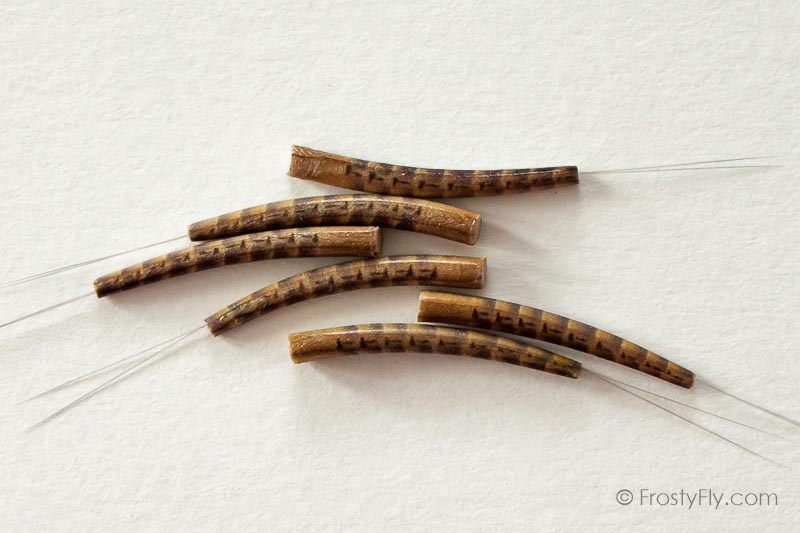 Realistic Extended Mayfly Bodies