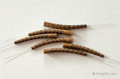 Realistic Extended Mayfly Bodies