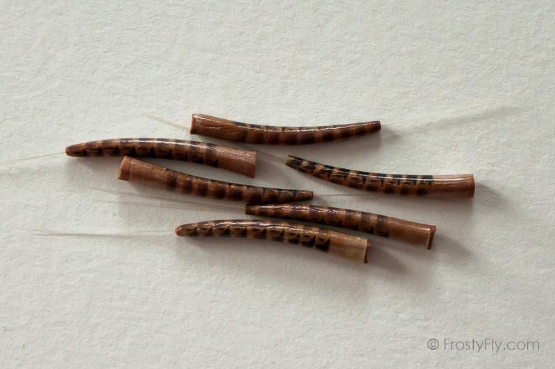 Realistic Extended Mayfly Bodies