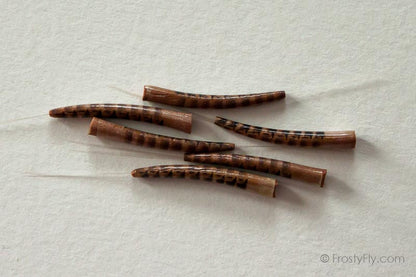 Realistic Extended Mayfly Bodies