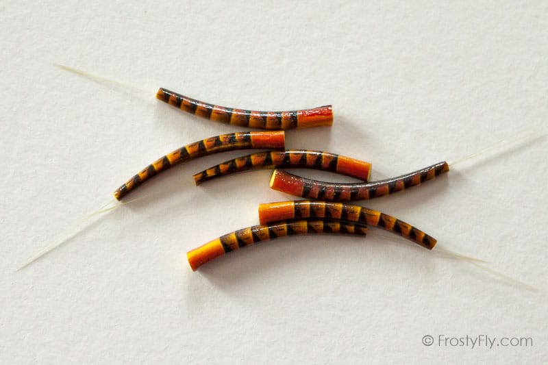 Realistic Extended Mayfly Bodies