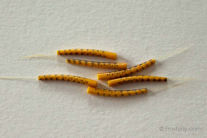 Realistic Extended Mayfly Bodies