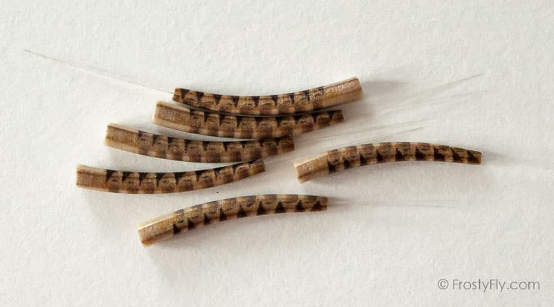 Realistic Extended Mayfly Bodies