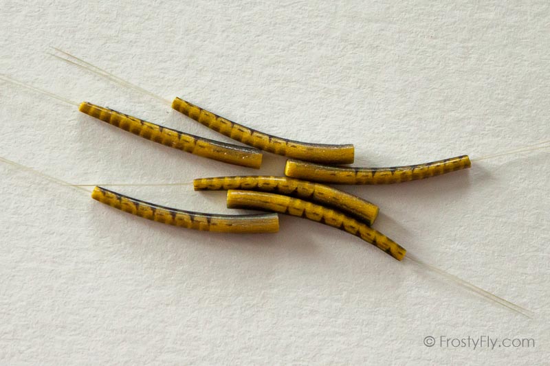 Realistic Extended Mayfly Bodies