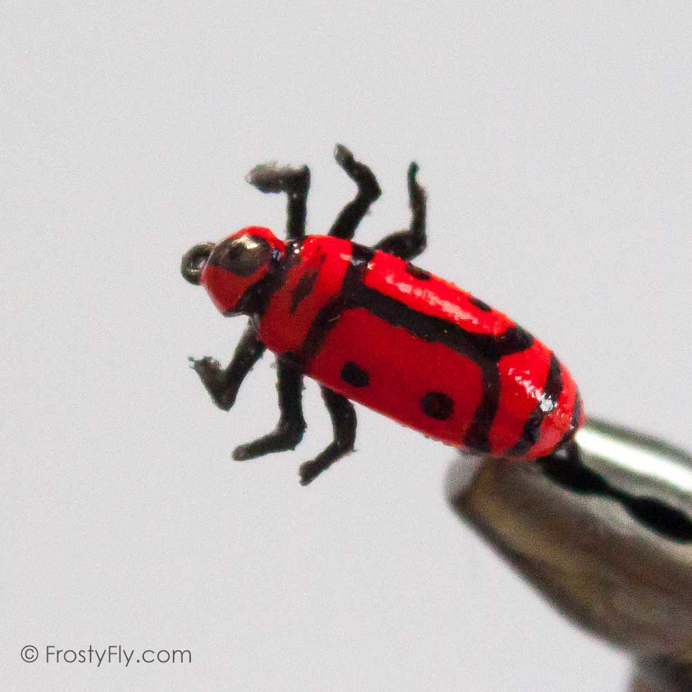 Realistic Firebug Fly