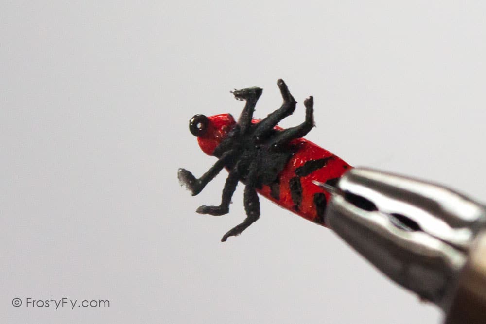 Realistic Firebug Fly
