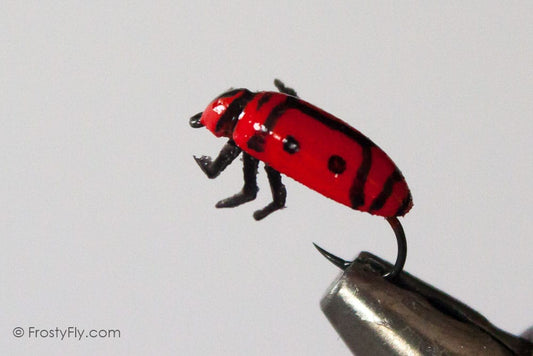 Realistic Firebug Fly