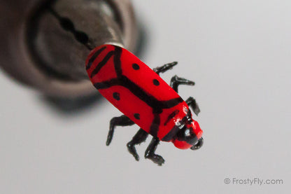 Realistic Firebug Fly