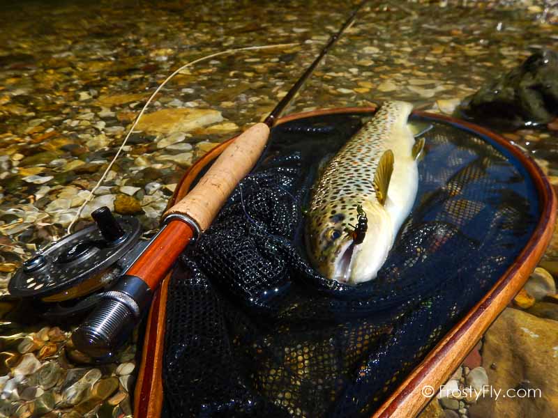 Realistic Firefly in Action