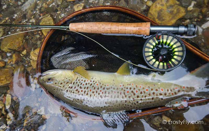 Realistic Firefly in Action