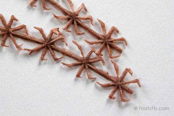 Realistic Flexy Insect Legs Cicadas & Large Bugs - Brown