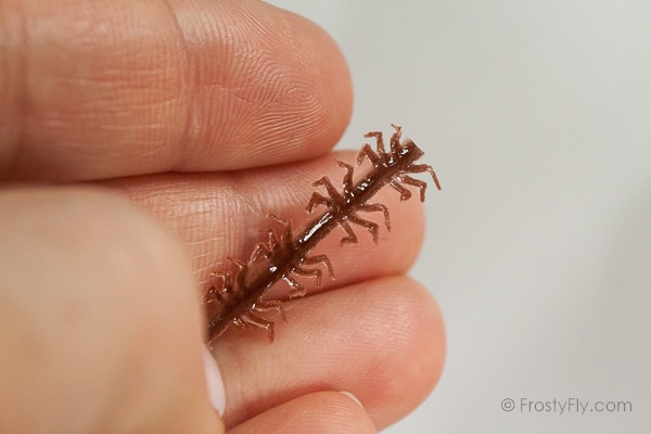 Realistic Flexy Insect Legs Mini Bugs - groove at the back